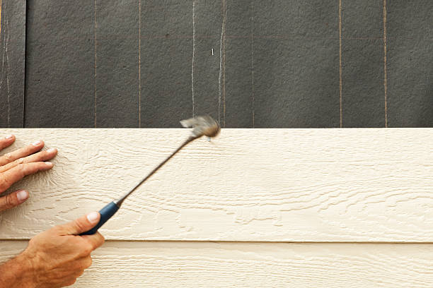 Best Siding Painting and Refinishing  in Frenchtown, MT